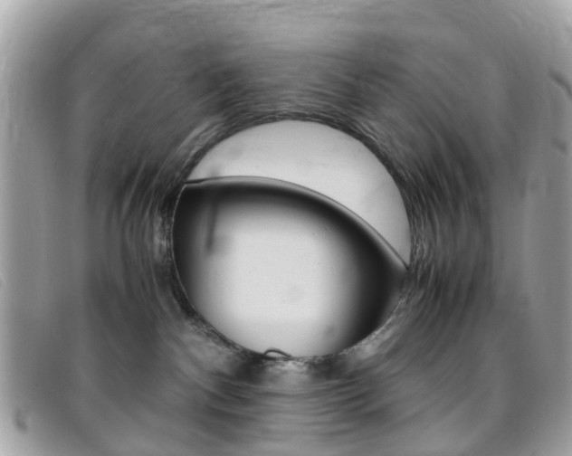 X0000095950140200801110924