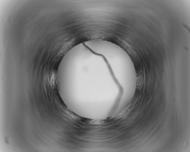 X0000095950142200801110924