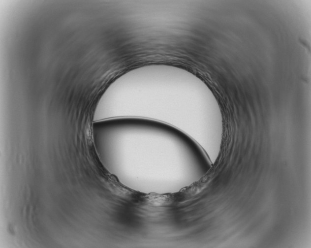 X0000095950143200801110924