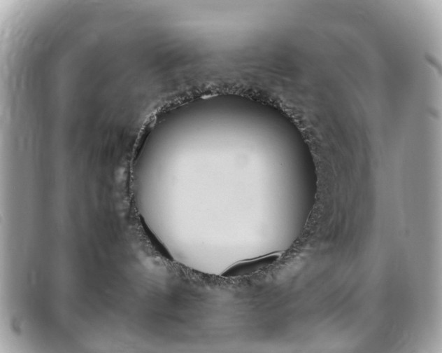 X0000095950144200801110924