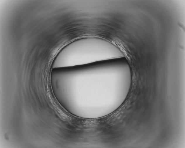 X0000095950145200801110923