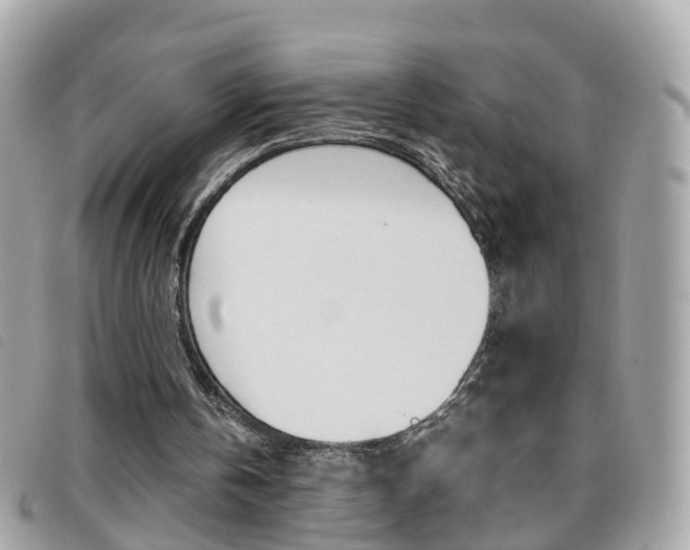 X0000095950146200801110923