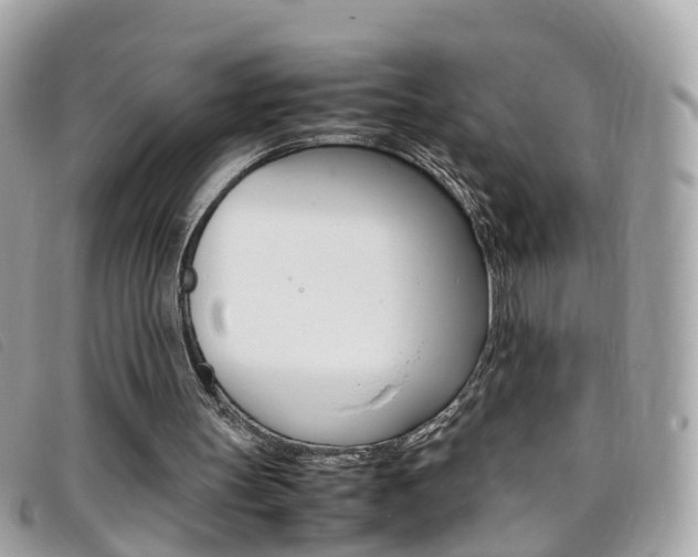 X0000095950147200801110923