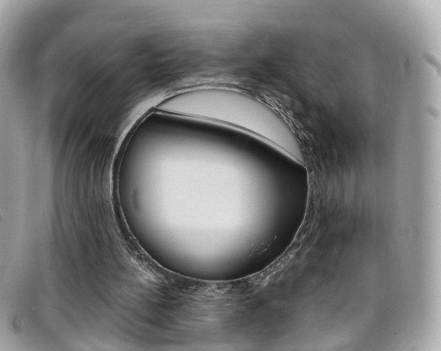 X0000095950148200801110923