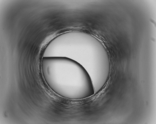 X0000095950149200801110923