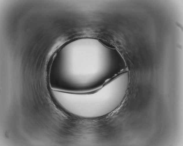 X0000095950150200801110923