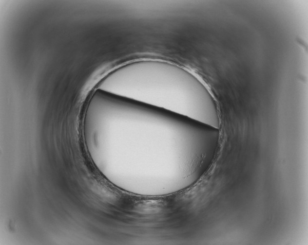 X0000095950151200801110923