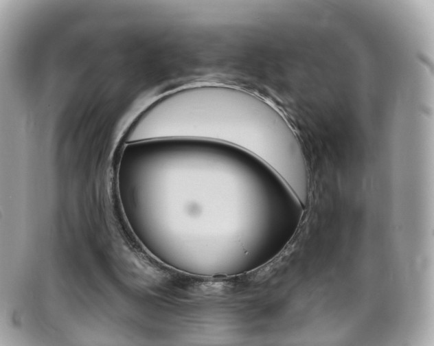 X0000095950152200801110923