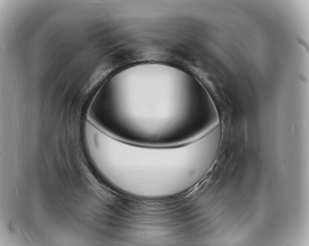 X0000095950154200801110923