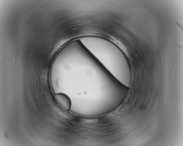 X0000095950155200801110923