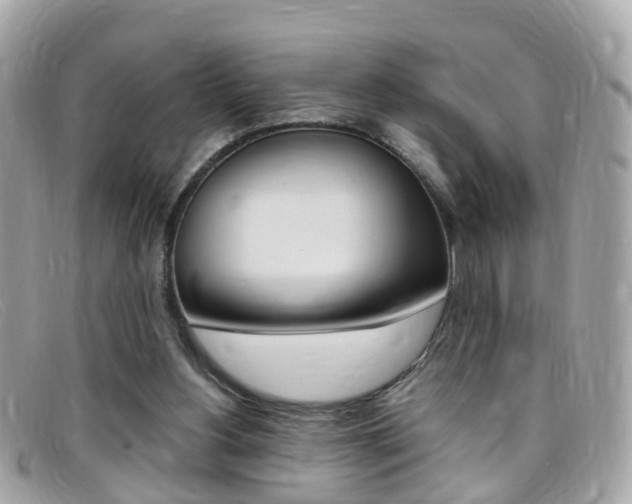 X0000095950156200801110923