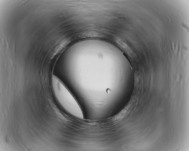 X0000095950158200801110923