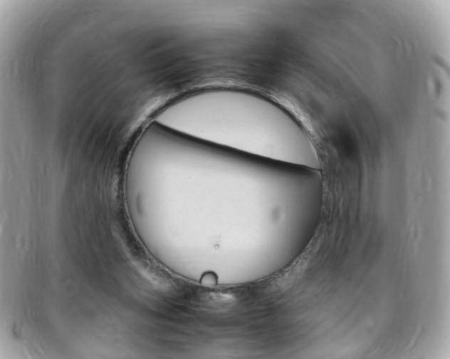 X0000095950159200801110923