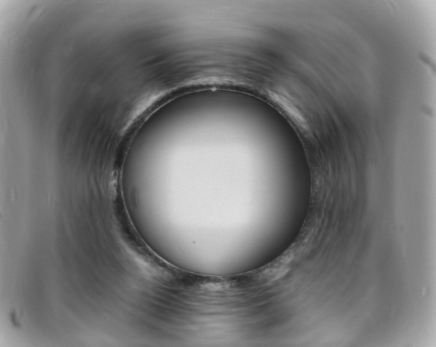 X0000095950160200801110923