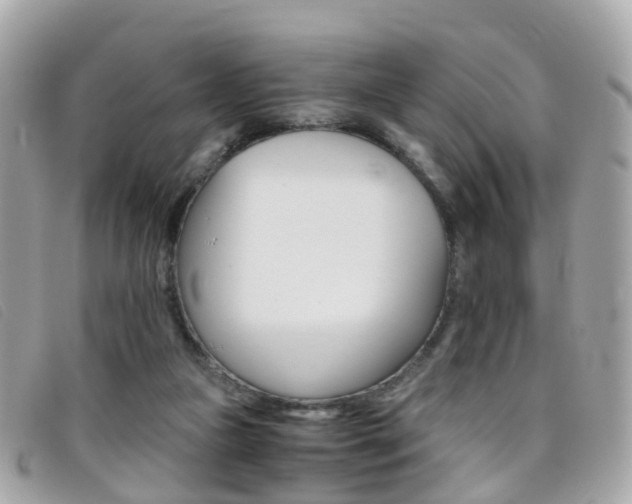 X0000095950161200801110923
