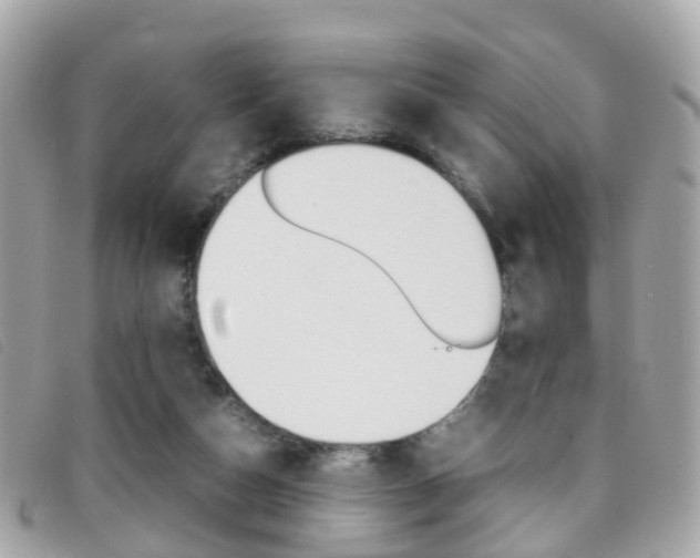 X0000095950162200801110923