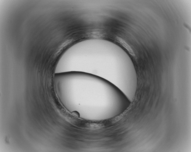 X0000095950163200801110923