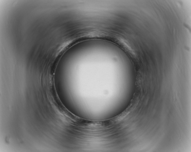 X0000095950164200801110923