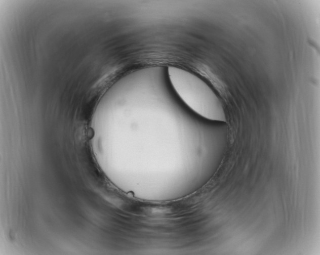 X0000095950165200801110923