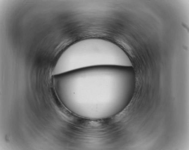 X0000095950166200801110923
