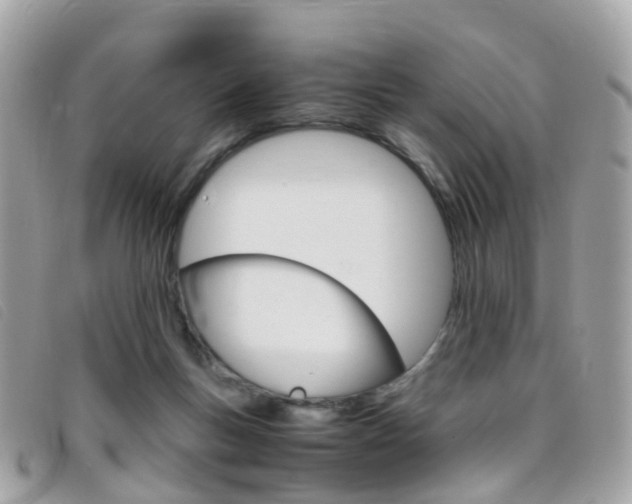 X0000095950167200801110923