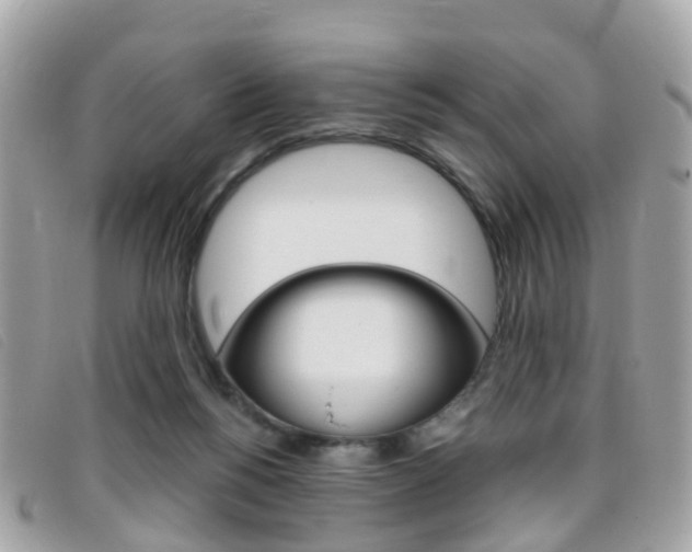 X0000095950168200801110923