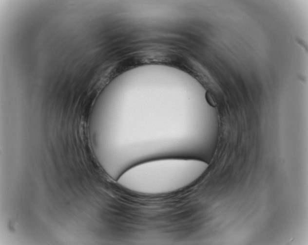X0000095950169200801110923