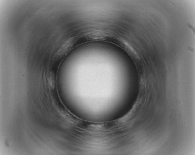 X0000095950170200801110923