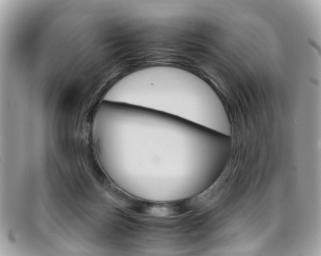 X0000095950171200801110923