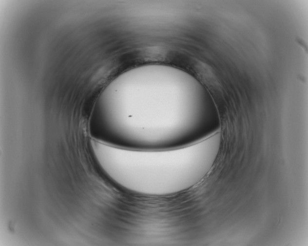 X0000095950172200801110923