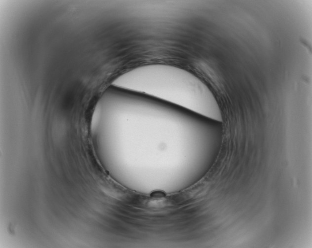 X0000095950173200801110923