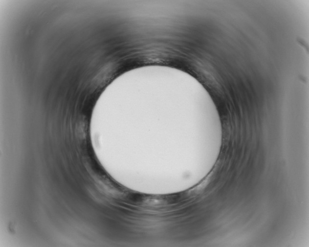 X0000095950174200801110923