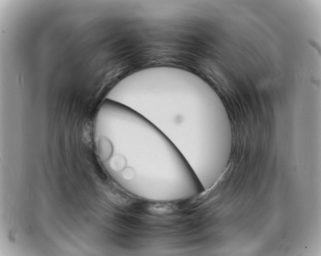 X0000095950175200801110923
