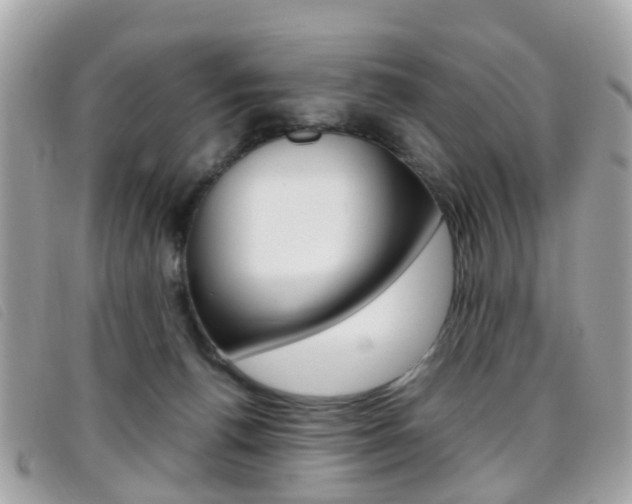X0000095950176200801110923