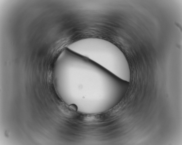 X0000095950177200801110923