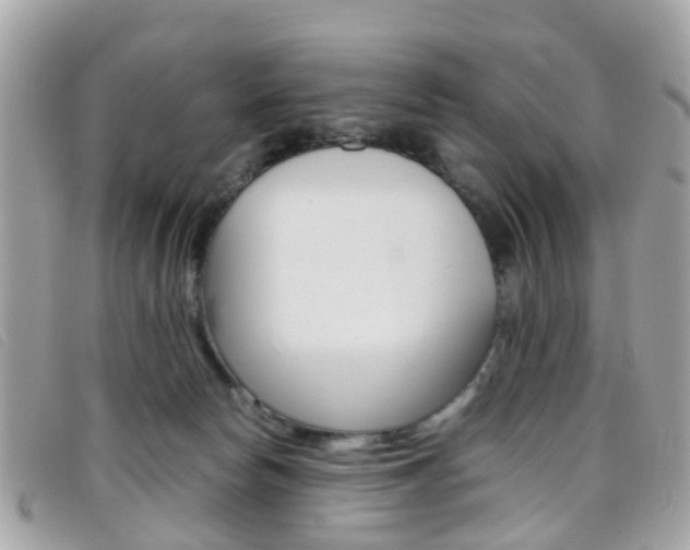 X0000095950178200801110923