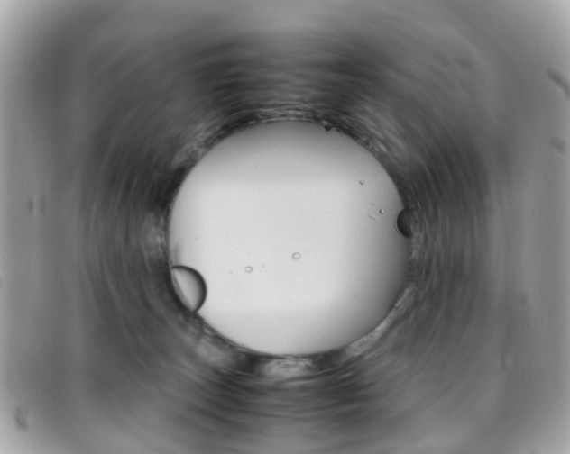X0000095950179200801110924