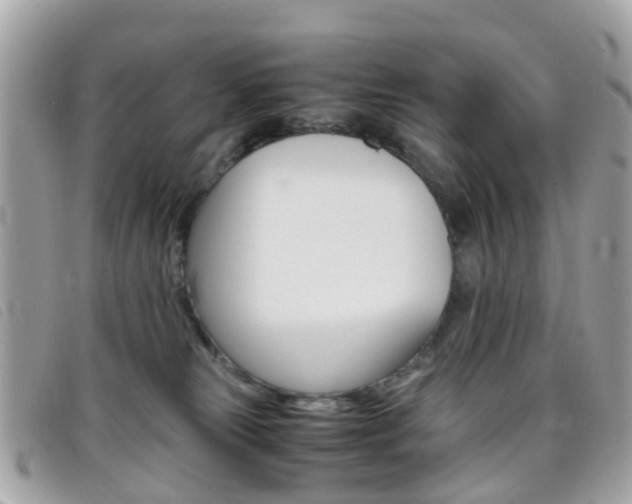 X0000095950181200801110924