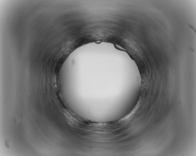 X0000095950182200801110924