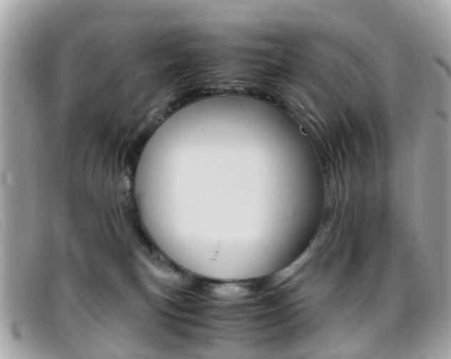 X0000095950183200801110924