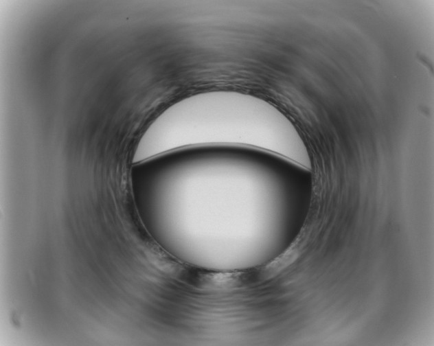 X0000095950184200801110924
