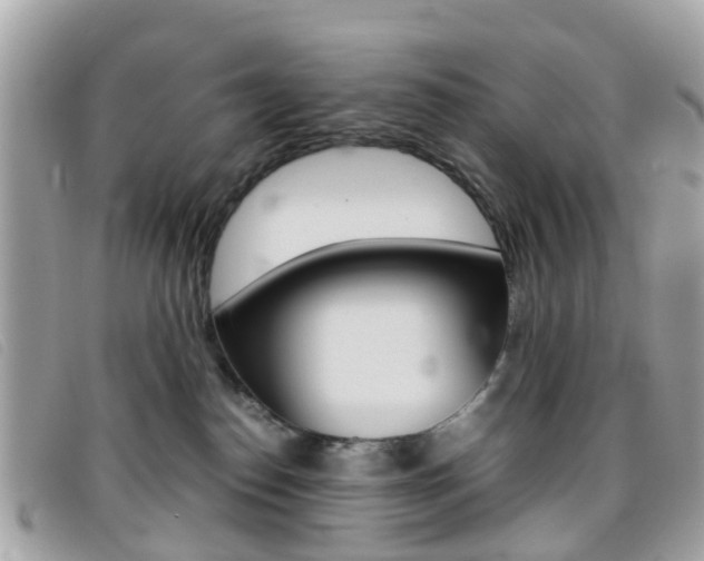 X0000095950186200801110924