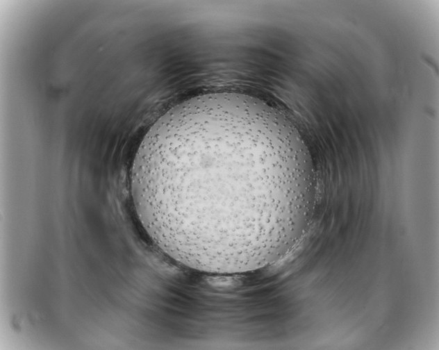 X0000095950187200801110924