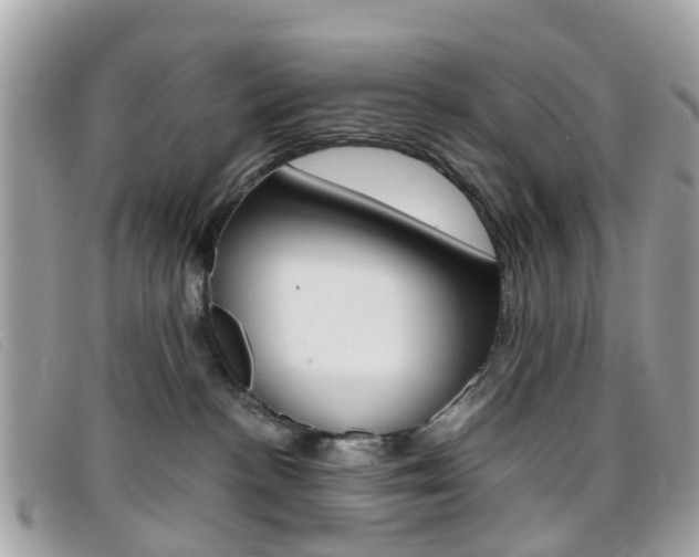 X0000095950188200801110924