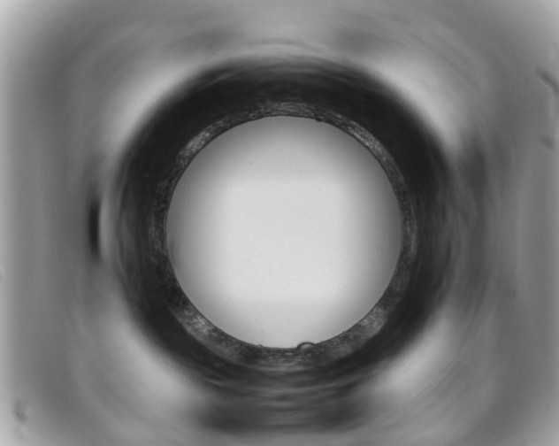 X0000095950189200801110924