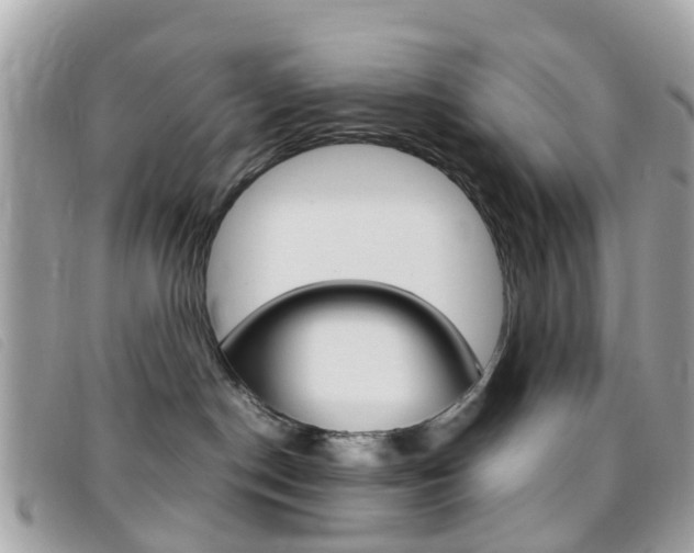 X0000095950190200801110924