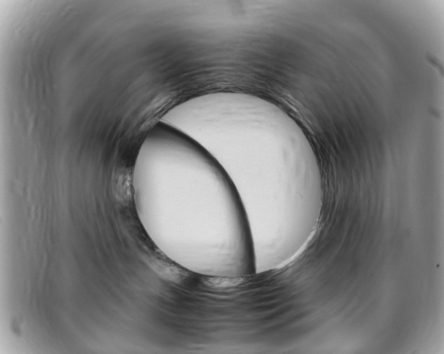 X0000095950191200801110924