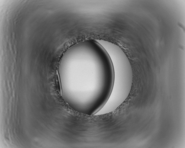 X0000095950192200801110924