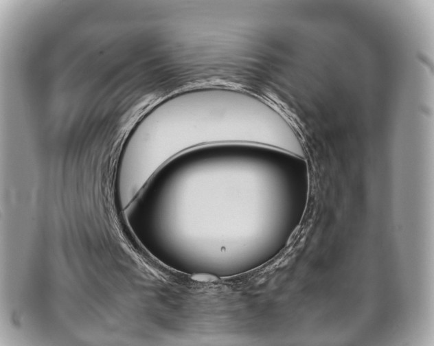 X0000095950193200801110923