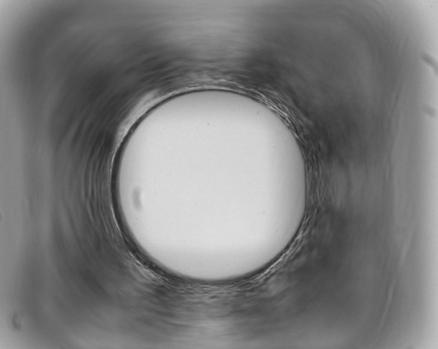 X0000095950195200801110923